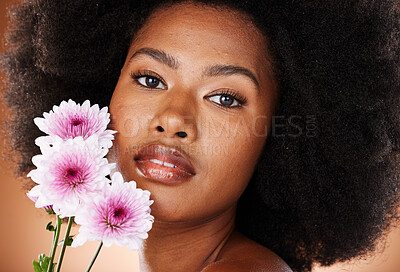 Buy stock photo Flower, skincare and black woman natural hair in a studio portrait for beauty, cosmetics and eco friendly product promotion. Young african model face with daisy floral skin, hair care and self love