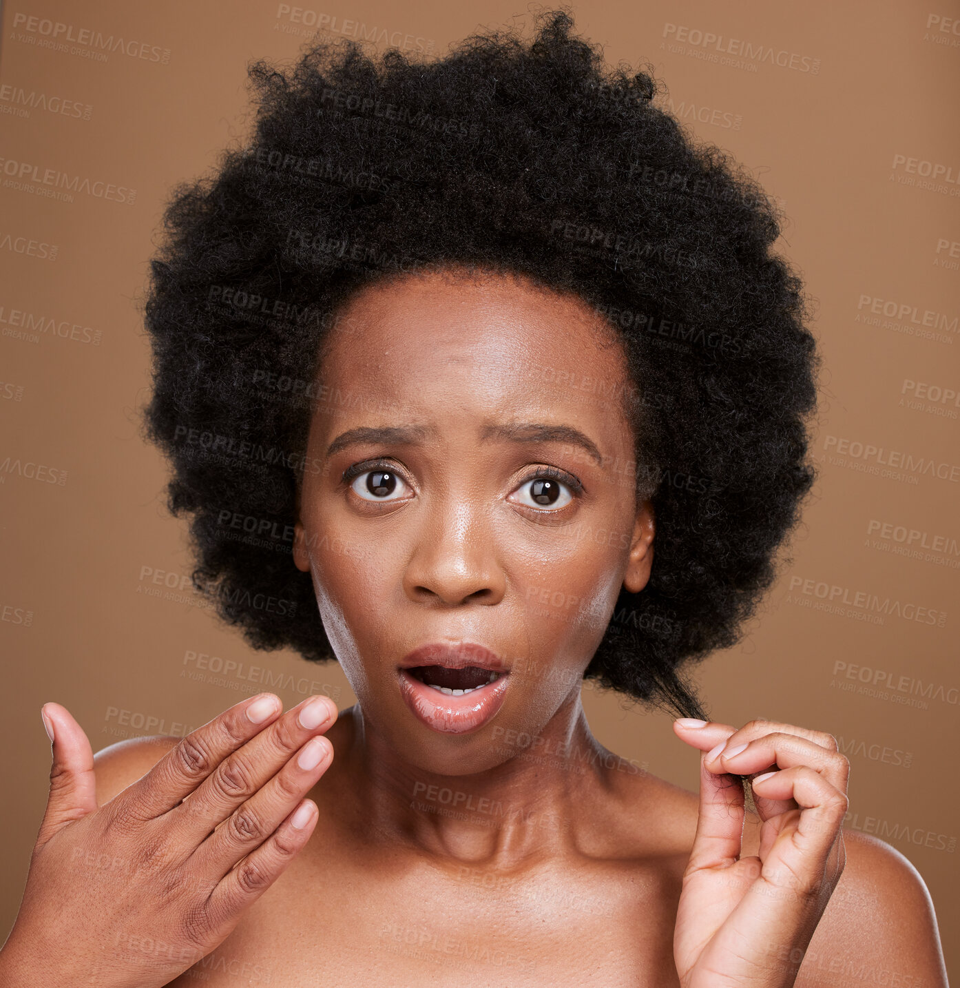 Buy stock photo Hair, portrait and black woman in studio for problem, hair loss and hair care against a brown background. Face, model and afro hairstyle fail by woman confused, shocked and surprised by damaged hair