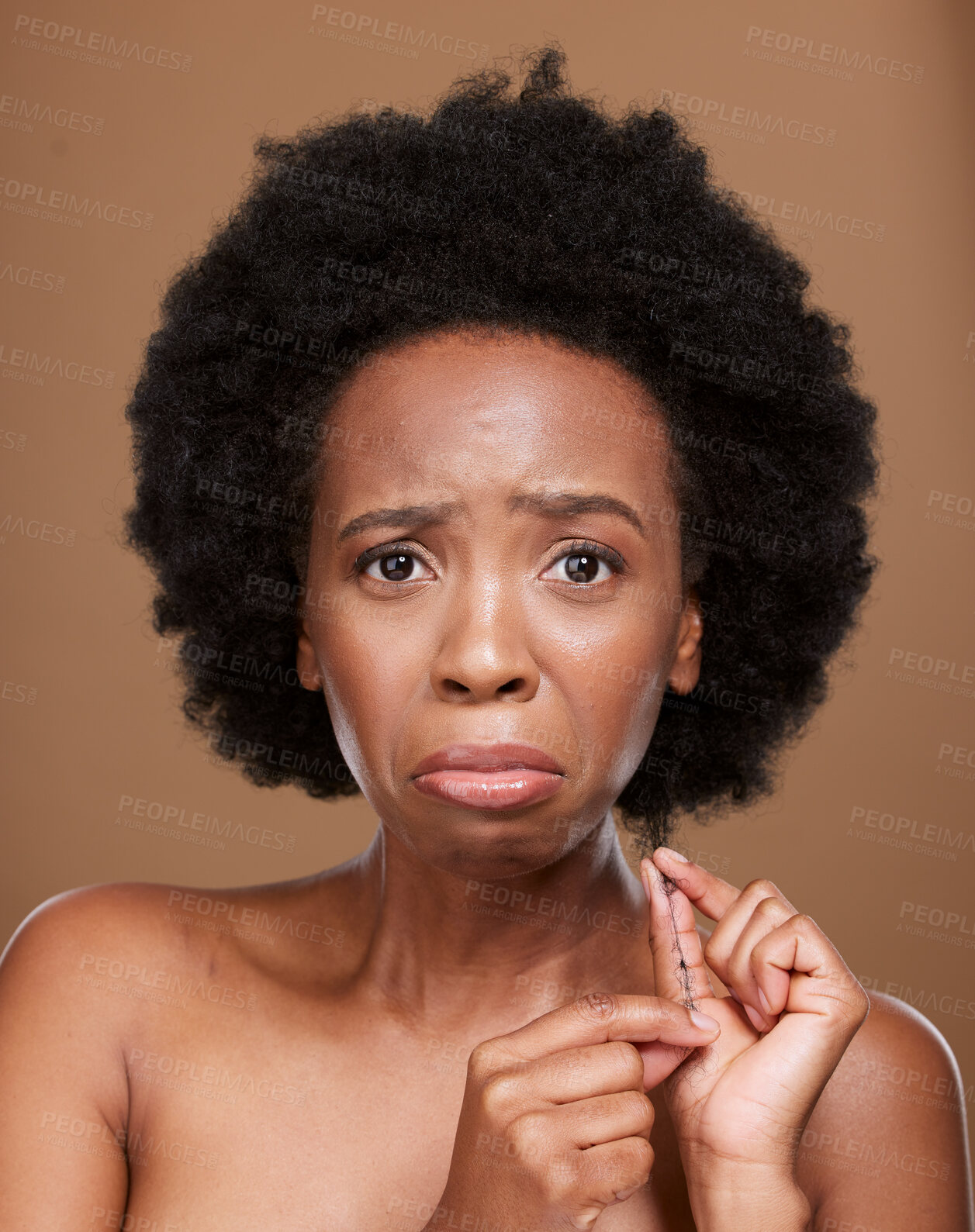 Buy stock photo Portrait, hair and black woman in studio for problem, breakage and split ends against a brown background mockup. Afro, face and girl model unhappy with natural hair, tangle and curls with mock up