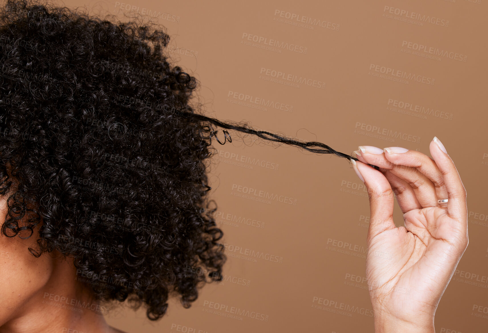 Buy stock photo Hair care, beauty and black woman hand with curly hair on brown background in studio. Hair salon, wellness and girl holding curl marketing hair treatment products for growth, natural and healthy hair