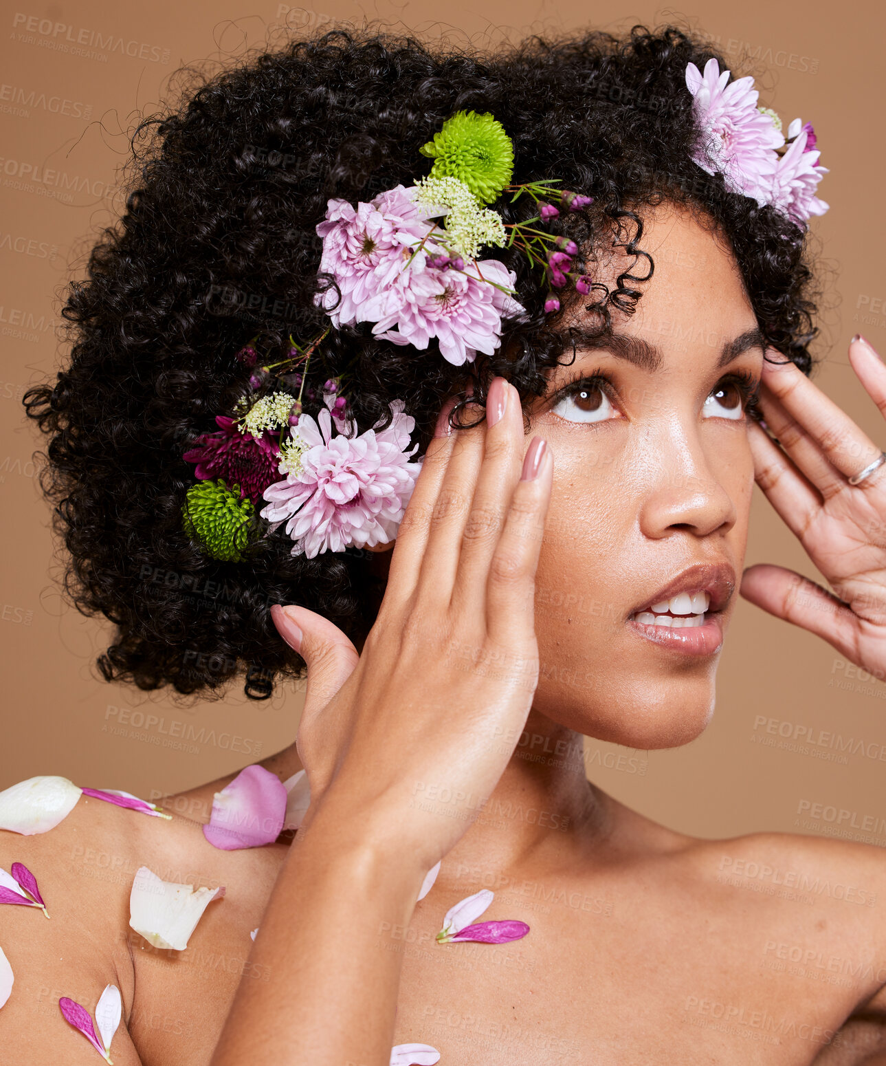 Buy stock photo Flowers, skincare and woman in studio for beauty, skin and facial by nature, plant and product on brown background. Flower, crown and black woman and floral aesthetic for wellness, cosmetic and zen  