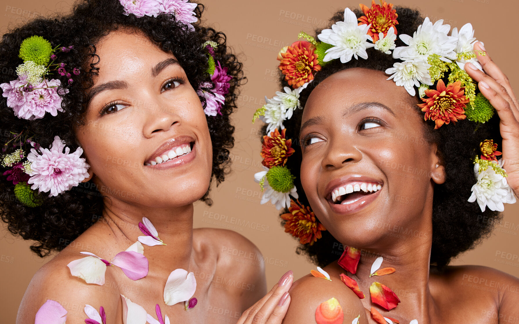 Buy stock photo Women, beauty and flowers in studio for wellness, cosmetic and grooming on brown background. Flower, crown and black woman friends relax, hygiene and pamper, nature product and zen plant aesthetic