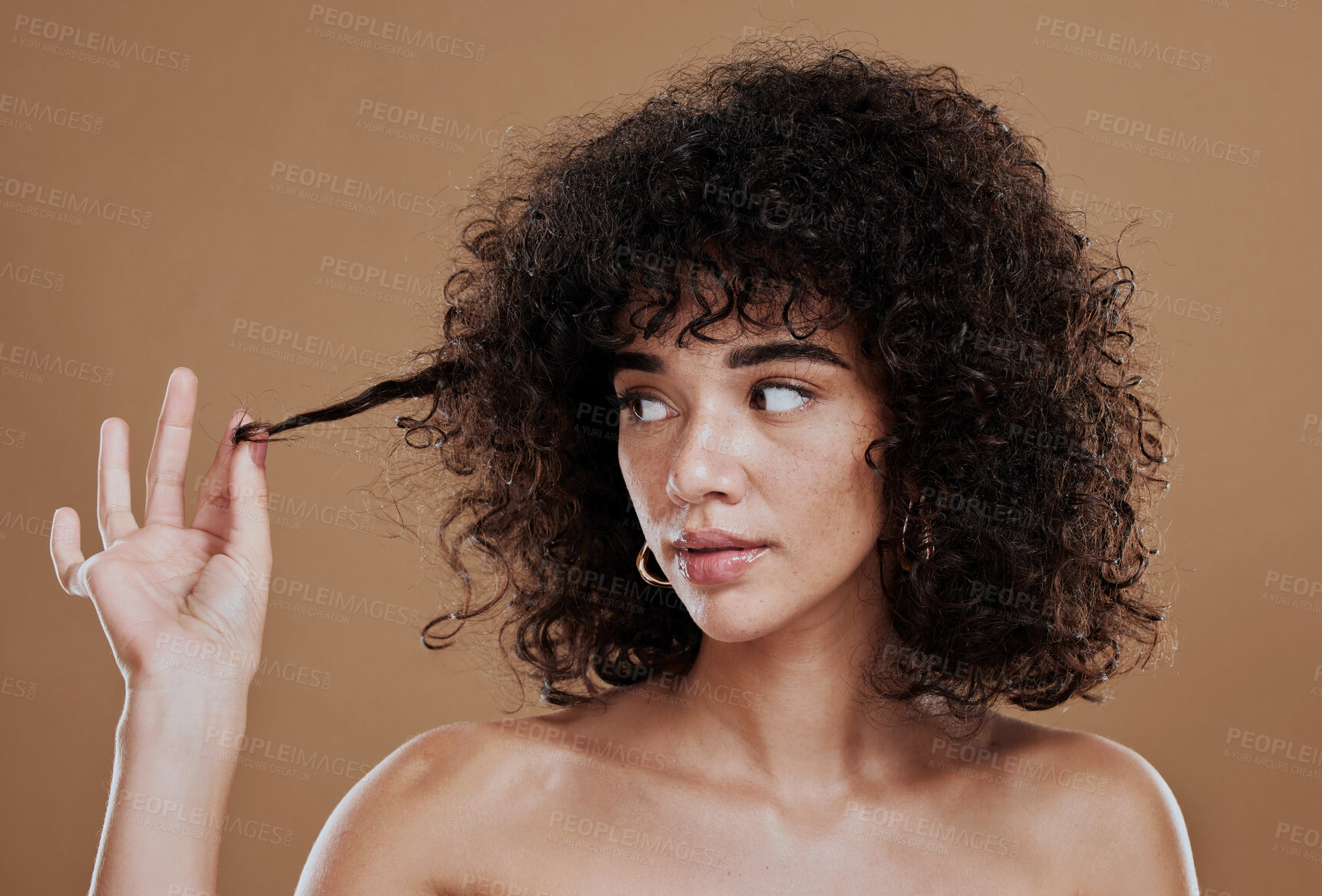 Buy stock photo Hair care, beauty and black woman with an afro in studio with clean, short and curly hair style. Health, hairstyle and African model with natural hair for cosmetic salon treatment by brown background