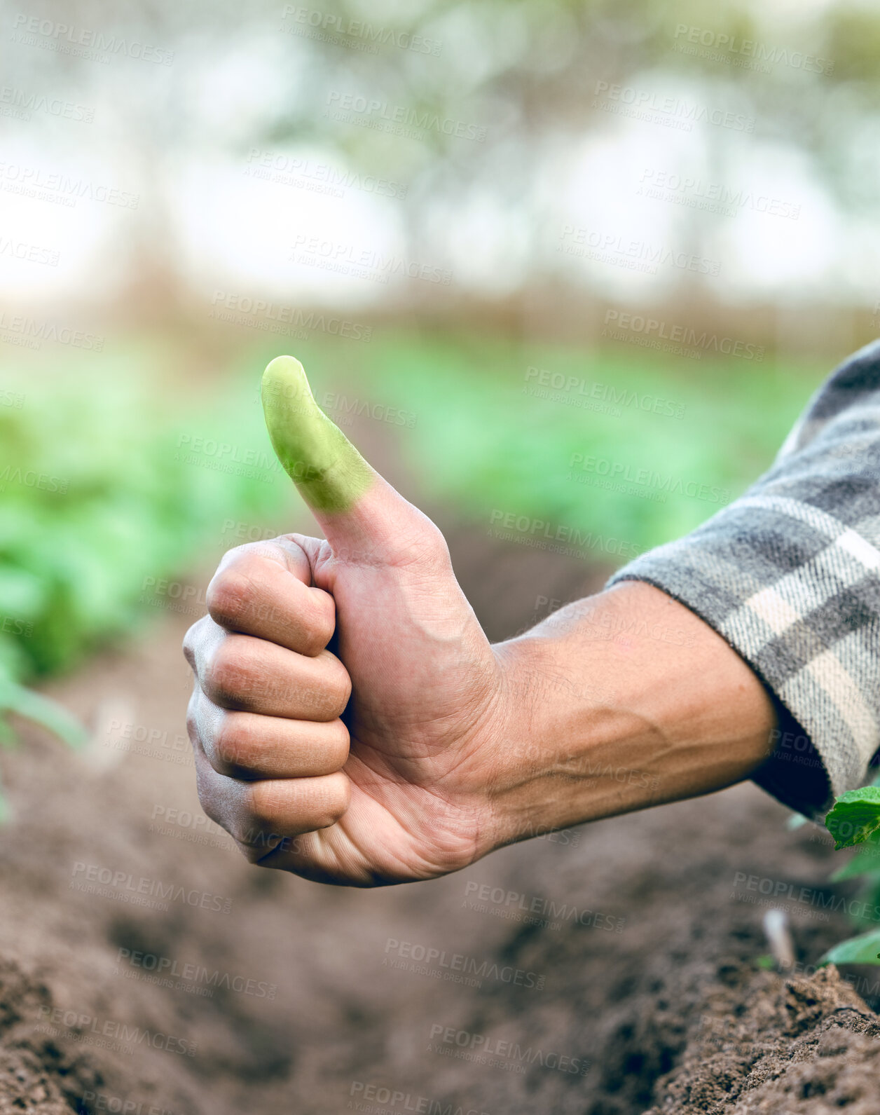 Buy stock photo Hand, green thumb and eco friendly farming in closeup with soil, dirt or earth for sustainable growth. Farmer, farm and thumbs up in sustainability, ecology or agriculture safety for future of planet