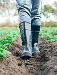 Farm, boots and farmer walking in soil while farming in a eco, sustainable and agriculture field. Eco friendly, green and closeup of a agro worker in shoes working in a garden in the countryside.