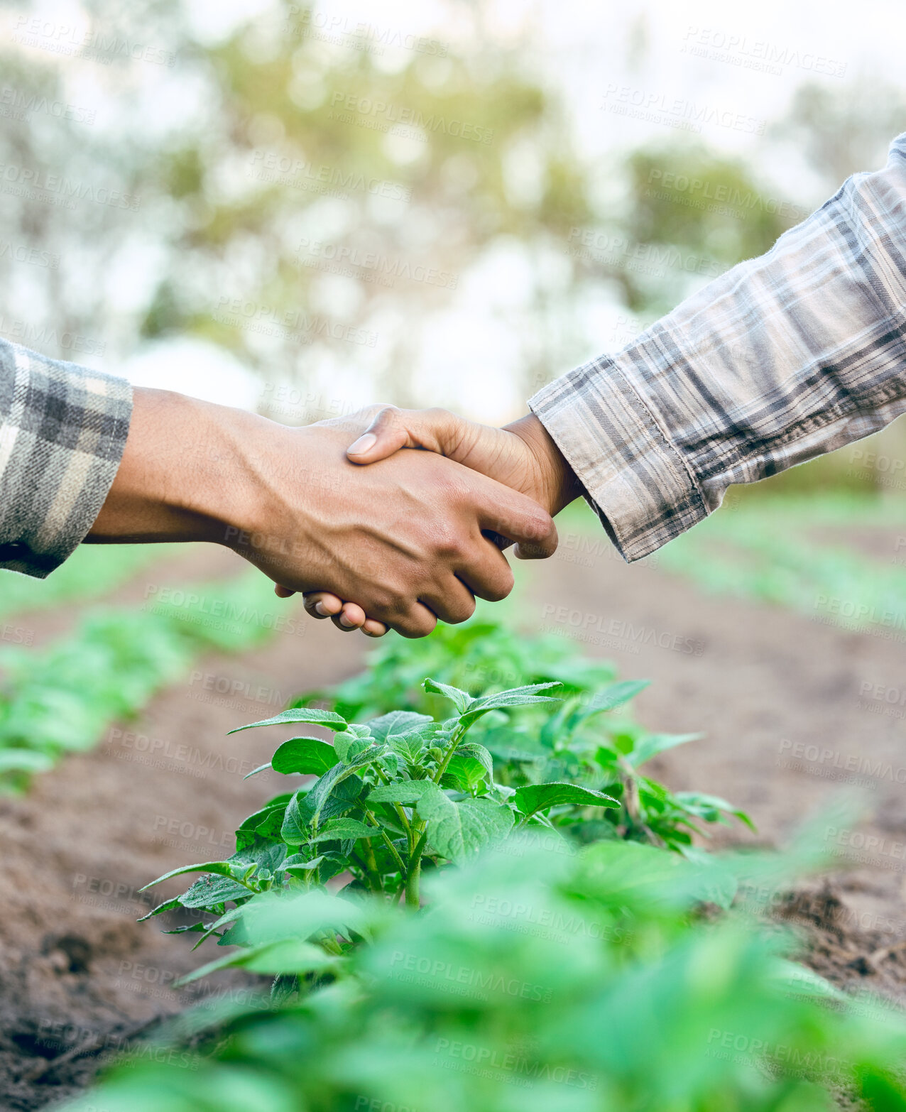 Buy stock photo Farming, agriculture and handshake for b2b business deal, partnership or agreement on agro farm shaking hands for trust, teamwork and growth. Man and woman farmer together for sustainability support