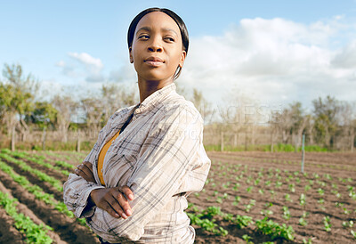 Buy stock photo Farmer, black woman and pride for plants, vegetables and smile for growth, rows or community garden. Agriculture, proud female or saplings for eco friendly, natural and health for sustainable produce