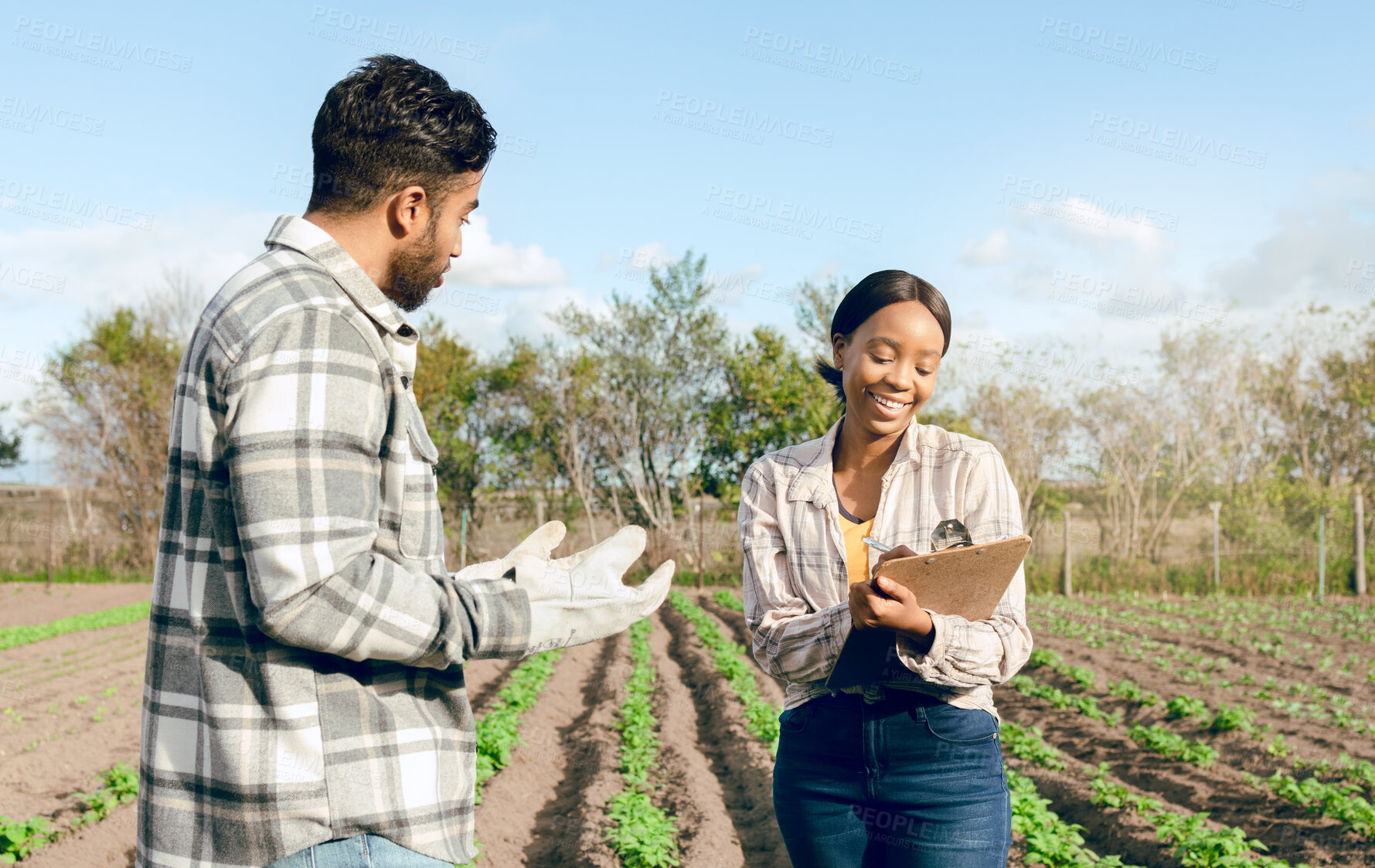 Buy stock photo Farm, farmer and woman with clipboard for agriculture, sustainability and organic produce inspection. Farming, small business and health inspector writing health, wheat and agreement check on field