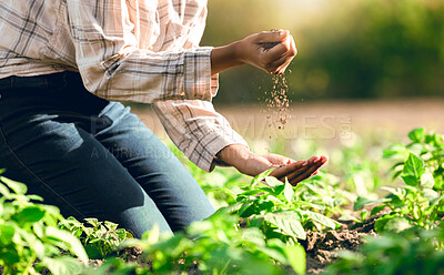 Buy stock photo Agriculture, soil and farmer hands with environment, ecology and green, outdoor plant and farming. Sustainability, harvest and leaves, crop growth and farm with nature, fresh and grow from earth 