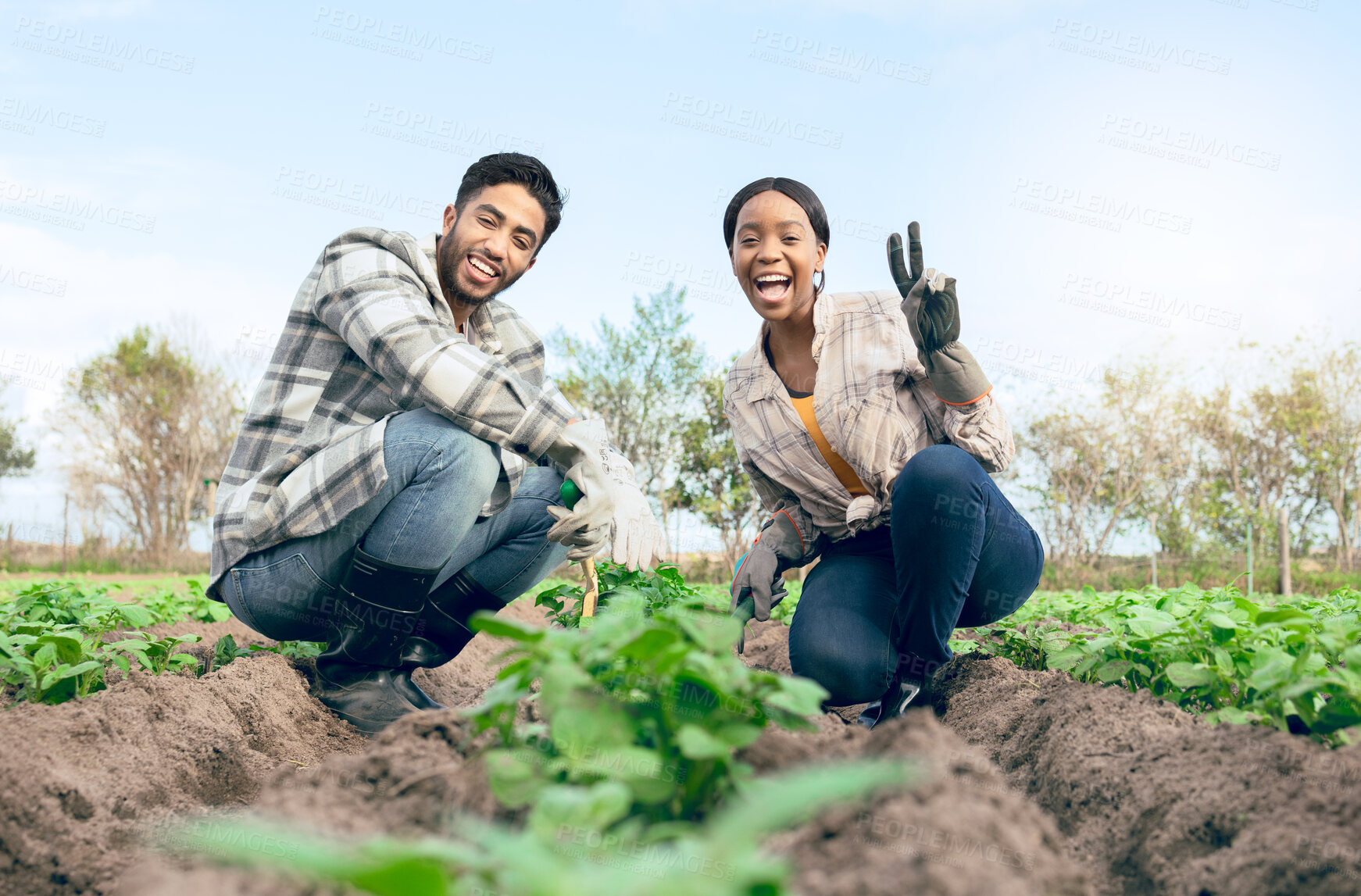 Buy stock photo Farmer couple, portrait and peace sign, agriculture work and  plants in soil, harvest and sustainability garden. Man and black woman smile, happy and  working on countryside farming and eco friendly 