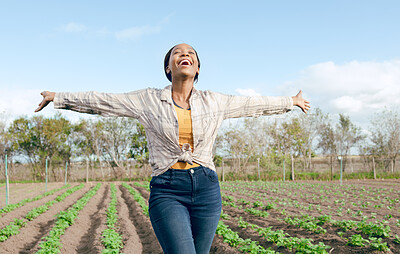 Buy stock photo Farm, freedom and black woman feeling carefree and happy on an agriculture, eco friendly and sustainable field. Free, land and farming with african american female enjoying her agricultural harvest