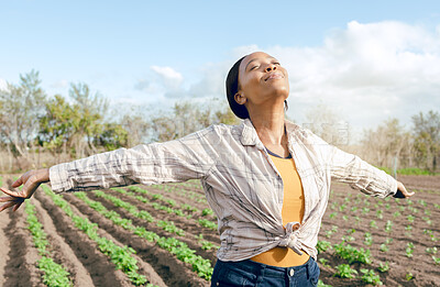 Buy stock photo Farmer, freedom and woman feeling carefree and joy on agriculture field or plantation before harvest. Free, african american female and eco friendly field for ecology, eco and earth for farming 