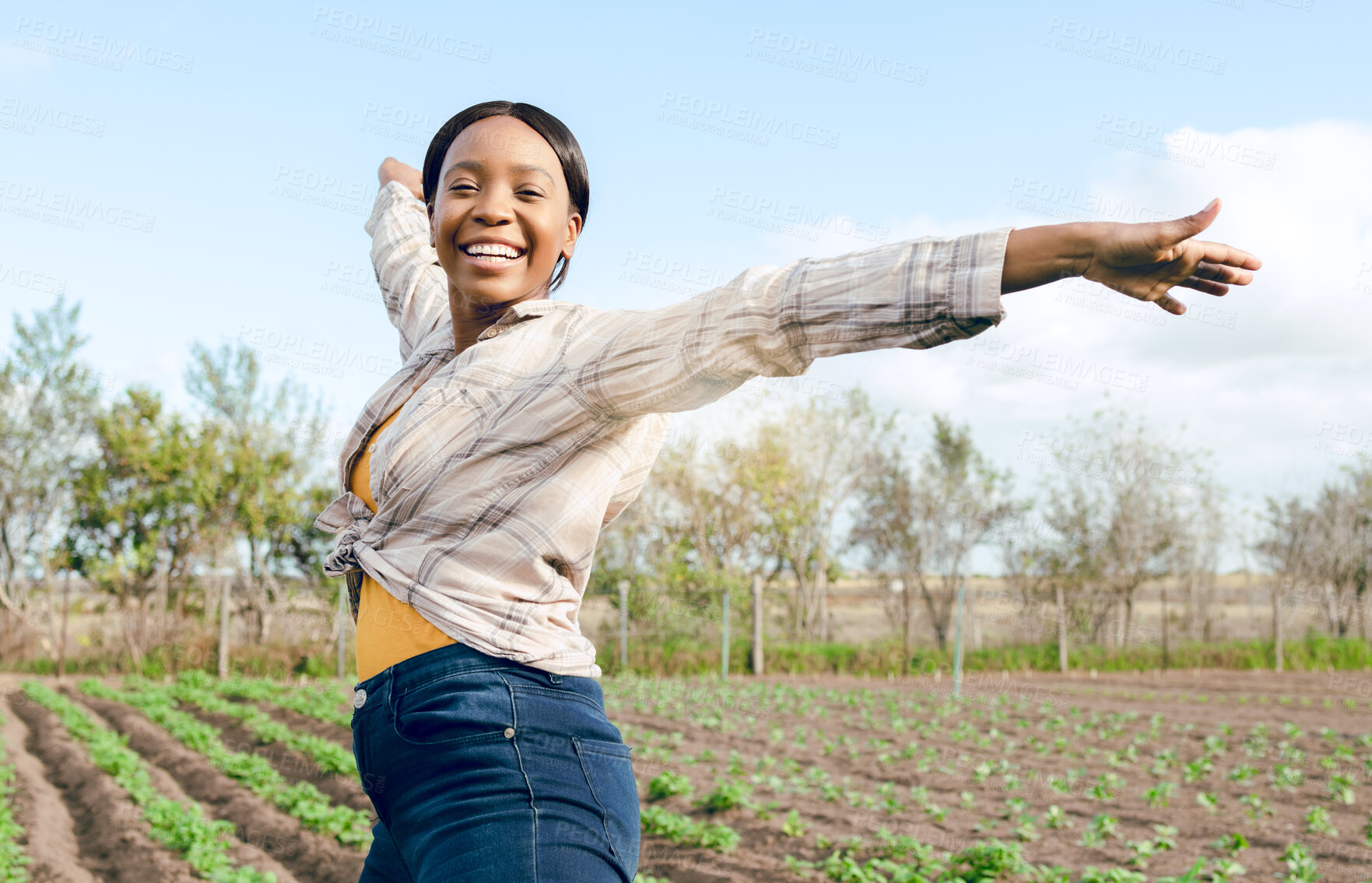 Buy stock photo Agriculture, black woman and farmer and environment with farm harvest and farming for sustainability in countryside. Green, sustainable and freedom with outdoor portrait, organic and plant growth.