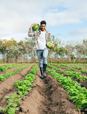 Buy stock photo Farmer, vegetables farm and agriculture sustainability for healthy food. Nature, plant growth and eco friendly worker with smile for carbon capture farming and gardening plants or nutrition wellness