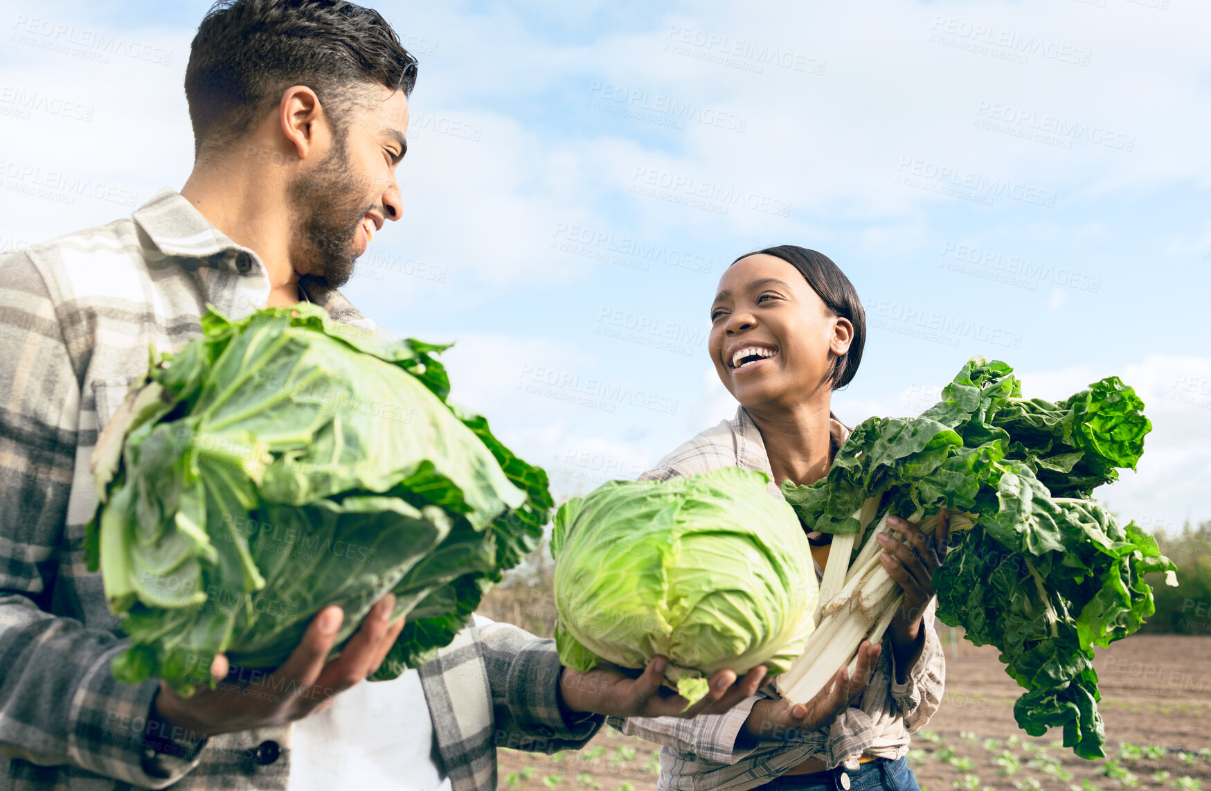 Buy stock photo Black couple, vegetables and happy for farming, harvest or agriculture in nature for food together. Man, black woman and farm with agro teamwork, smile or sustainability for health, nutrition or diet