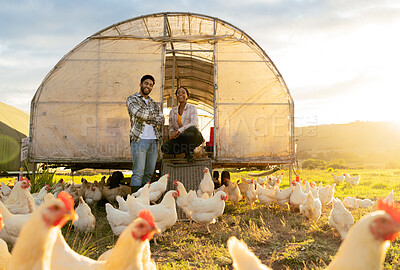 Buy stock photo Agriculture, chicken and sustainability with of black couple on farm for growth, food and environment. Countryside, farmer and eggs with man and woman in field for livestock, poultry and harvest