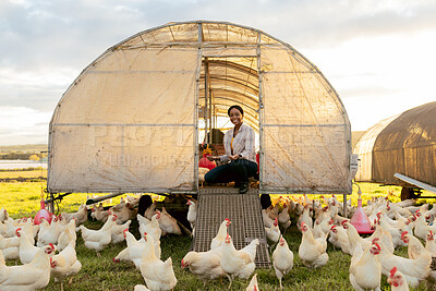 Buy stock photo Chicken farming, woman and organic coop on at farm, field or outdoor for meat, food and free range. Black woman, farmer and poultry agriculture with birds, barn and nature ecology with sustainability