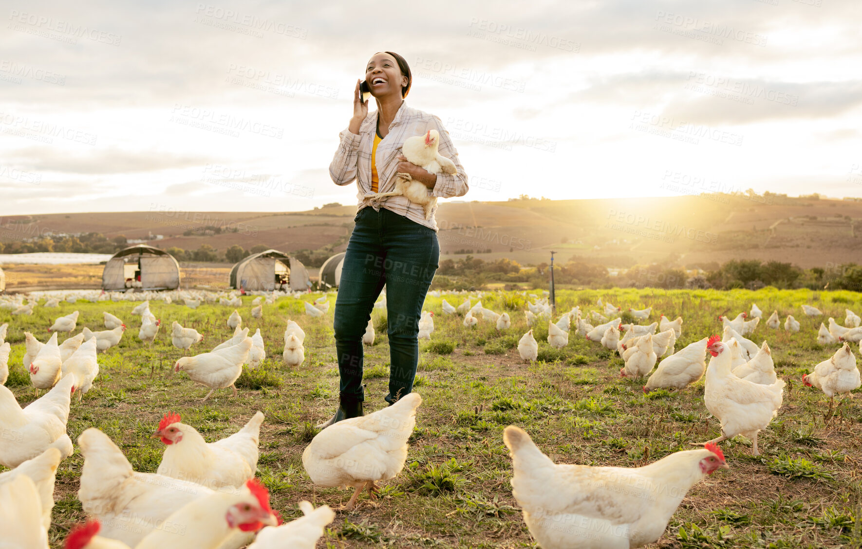 Buy stock photo Black woman, chicken and phone call, farm and networking with contact, smile and happy communication outdoor. Farmer, happy and conversation on farming, small business and agriculture on smartphone 