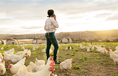 Buy stock photo Agriculture, chicken and phone of farm woman in countryside with 5g communication for poultry business. Grass, animals and farmer on mobile talk on field with rooster livestock in South Africa.

