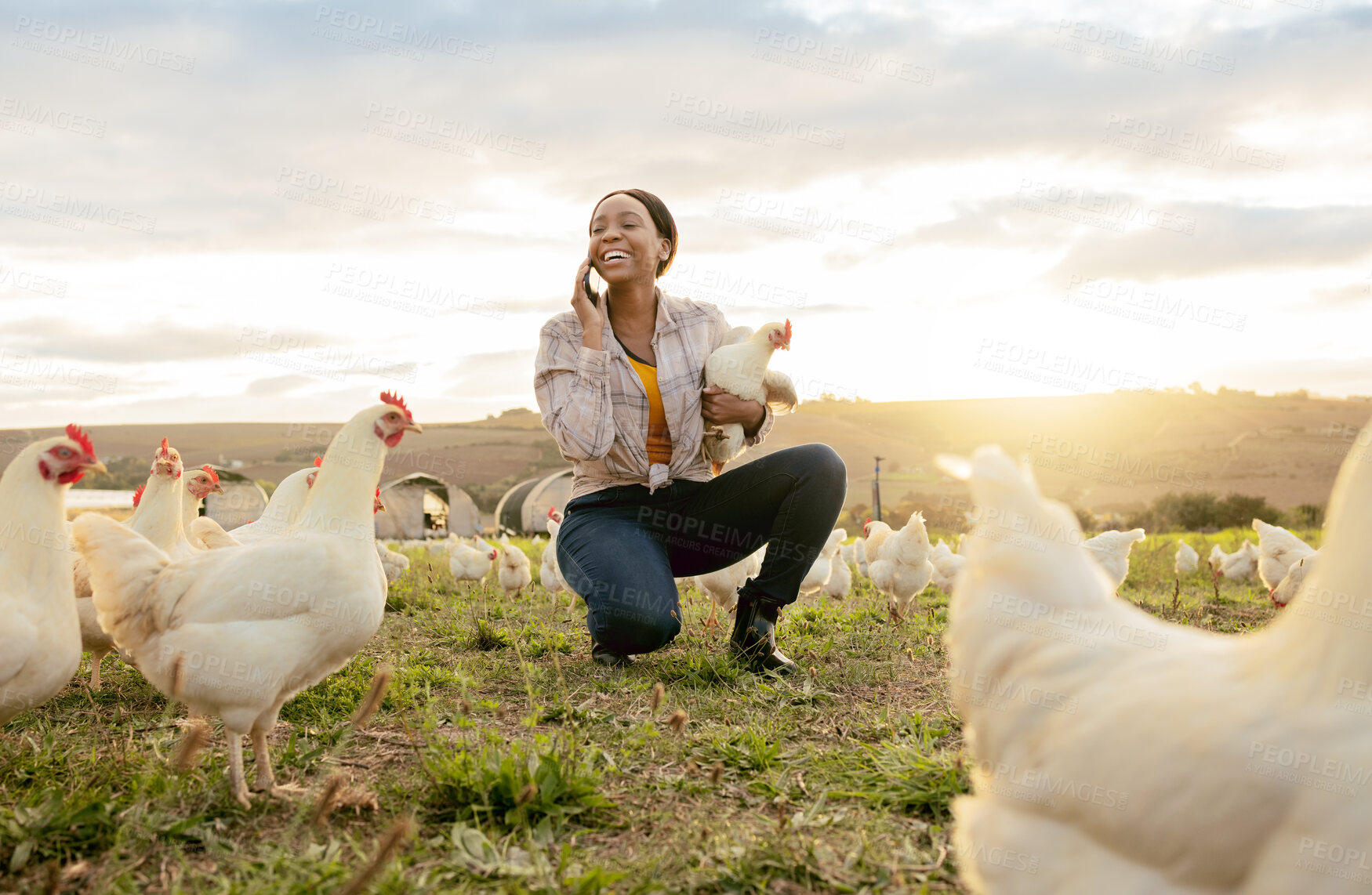 Buy stock photo Black woman, phone call and countryside on chicken farm with smile for live stock in the outdoors. Happy African American female farmer smiling on phone for sustainability, agriculture and animals