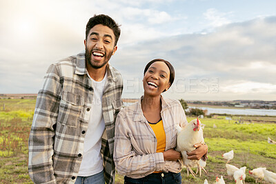 Buy stock photo Farm, chickens and agriculture with a couple farming together on organic land in the poultry industry. Field, energy and environment with a man and woman farmer working in agricultural sustainability