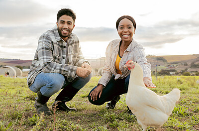 Buy stock photo Farm, livestock and portrait of a couple with a chicken on an agriculture, sustainable and green field. Poultry, eco friendly and agro man and woman with a animal to monitor growth in the countryside