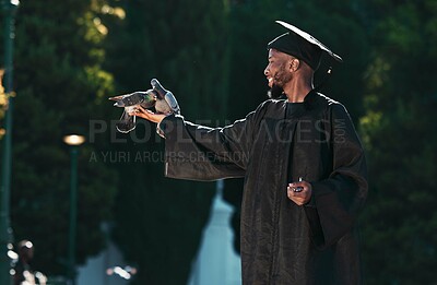 Buy stock photo Black man, graduation and birds for achievement, success and goals of future, dreams or education motivation. Happy graduate holding pigeons in hands  in celebration of academic pride, hope and event