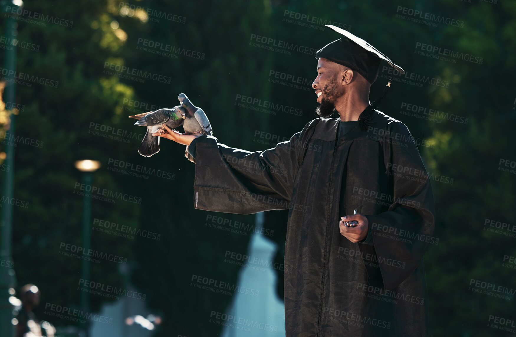 Buy stock photo Black man, graduation and birds for achievement, success and goals of future, dreams or education motivation. Happy graduate holding pigeons in hands  in celebration of academic pride, hope and event