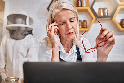Buy stock photo Woman, headache and entrepreneur stress and anxiety, honey salesperson, small business owner stressed out with digital sale report on laptop. Business crisis, store problem and burnout with glasses.