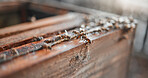 Bees, wood and insects for honey production on a sustainable, agriculture and eco friendly farm. Process, farming and bugs ready to produce or harvest organic, raw and healthy honeycomb in a box.