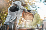 Bee farm, honey or farmer worker with harvest organic product in safety suit in garden. Sustainability, ecology or agriculture work employee with bees working for beekeeping, honeycomb or hexagon