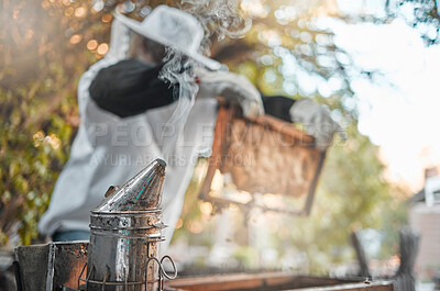 Buy stock photo Bee farm, honey or farmer worker with harvest organic product in safety suit in garden. Sustainability, ecology or agriculture work employee with bees working for beekeeping with honeycomb in apiary