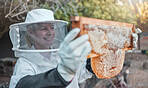 Honey production, woman farmer and bee farm process of a happy worker smile from honeycomb growth. Working sustainability, agriculture and ecology employee ready to harvest organic wax from frame