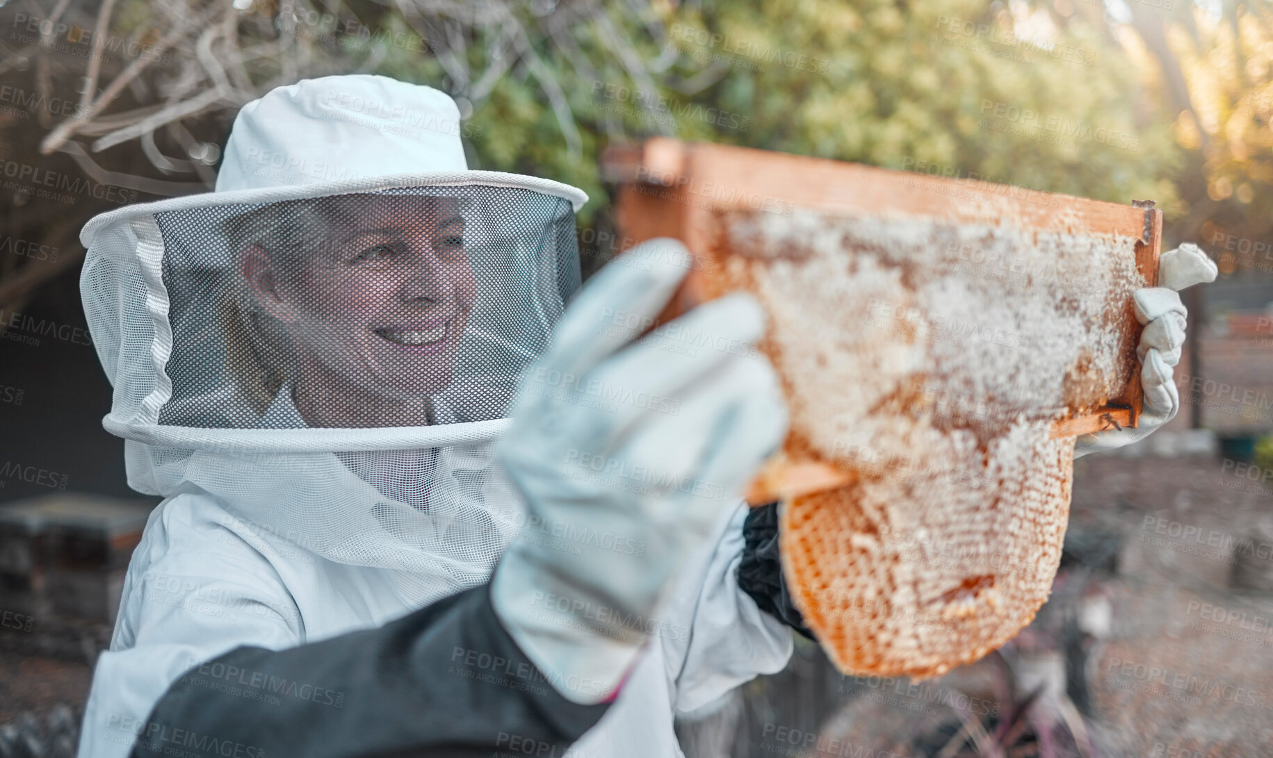 Buy stock photo Honey production, woman farmer and bee farm process of a happy worker smile from honeycomb growth. Working sustainability, agriculture and ecology employee ready to harvest organic wax from frame