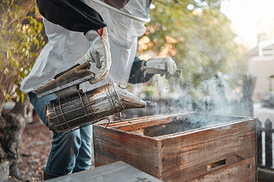 Buy stock photo Beekeeper, bee farm and farmer with smoker tool in apiary for bees. Safety, food and person or worker in suit smoking beehive to calm bugs to harvest organic, healthy and fresh honey from insects.