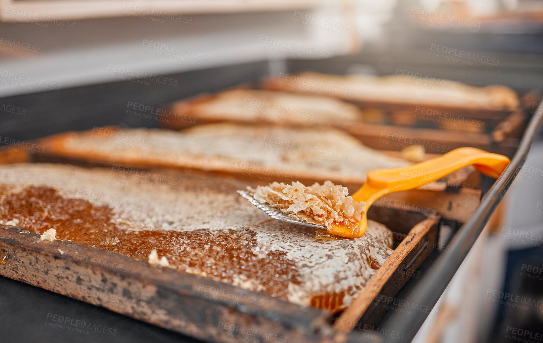 Buy stock photo Honey, closeup and frame with scrape tools for beekeeping, agriculture or food in factory production. Harvest, bees honeycomb or apiculture workshop with uncapping fork, natural product farming