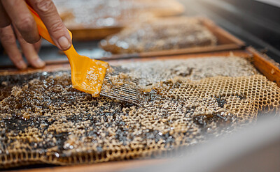 Buy stock photo Honey, frame and closeup of scrape tools for bee farming, agriculture or food in beekeeping production. Beekeeper, honeycomb and apiculture worker with uncapping fork, natural product or work at farm