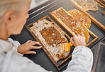 Beekeeper, honey production and honeycomb at farm for food, health or nutrition industry. Bee farmer, agriculture and insect farming for sweet, natural or sustainability with woman, scrape or harvest