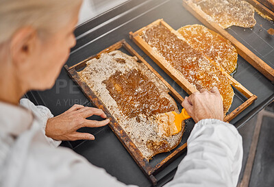 Buy stock photo Beekeeper, honey production and honeycomb at farm for food, health or nutrition industry. Bee farmer, agriculture and insect farming for sweet, natural or sustainability with woman, scrape or harvest