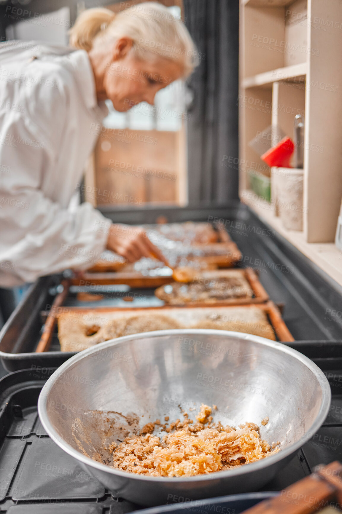 Buy stock photo Bee wax and honey farm agriculture woman working with organic, raw and healthy honeycomb. Production, process and beekeeper expert harvesting natural honey for health, farming and beeswax.

