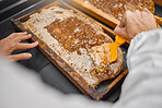 Honey production, frame and closeup of scraping tools in bee farming, agriculture or food with beekeeper. Beekeeping, honeycomb and apiculture worker with organic, natural product and working at farm