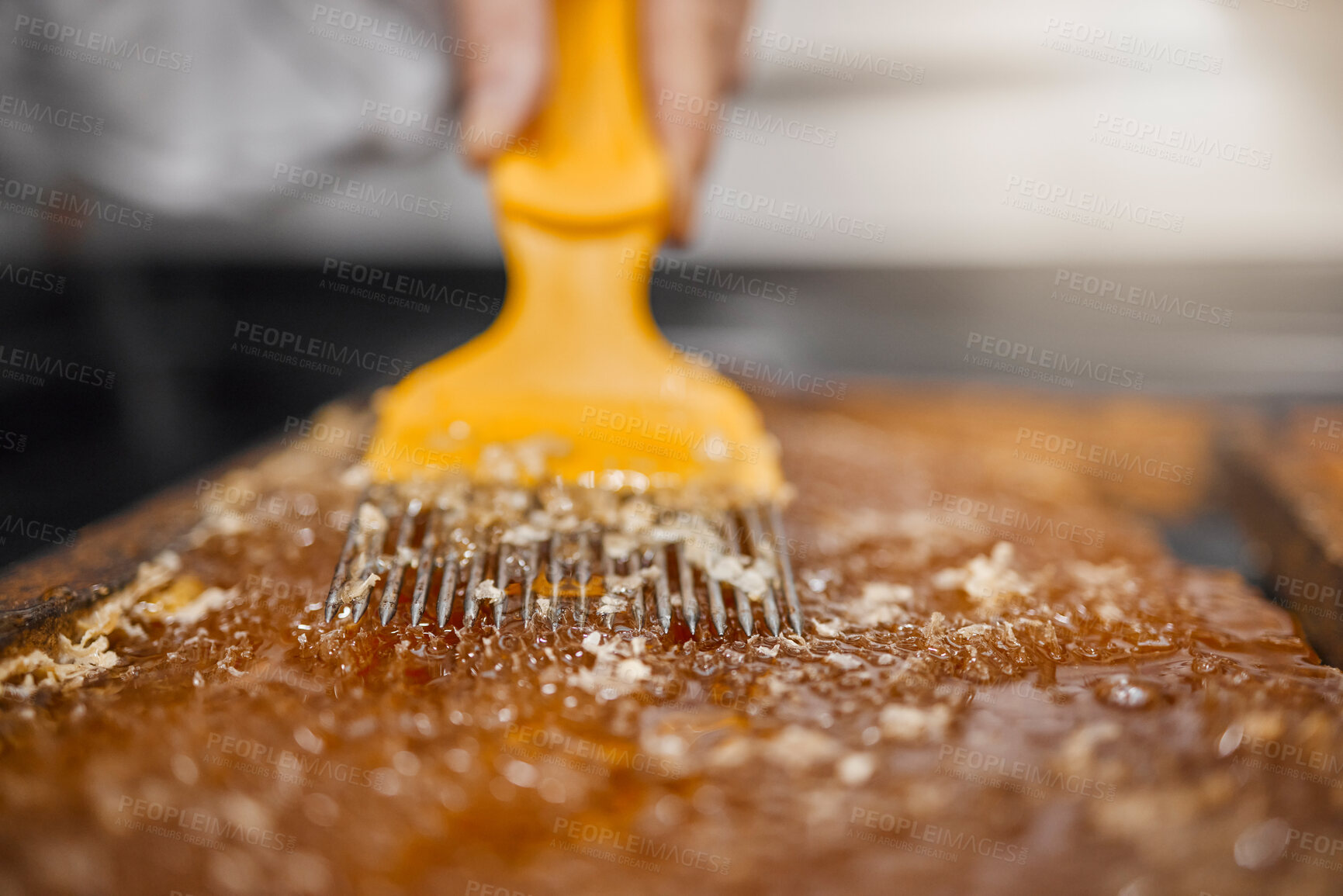 Buy stock photo Beekeeping, honey frame and production for sustainable farming with scraping tool and frame for honeycomb, beeswax and food industry. Hands of bee farmer or apiarist working with natural product