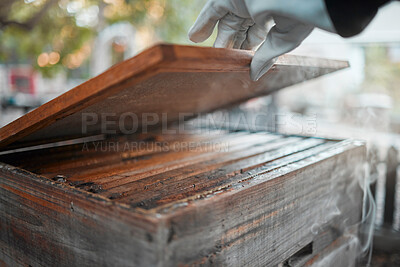 Buy stock photo Wood box, smoke and beekeeping, production process for honey and natural product with manufacturing outdoor. Beekeeper, hand and glove for safety, beeswax smoker and organic bee farming and equipment