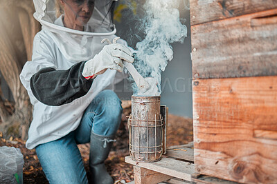 Buy stock photo Beekeeper, bee suit and smoke, fog and smoking a beehive box outdoor on a farm, working and safety protection. Agriculture work, senior woman and farmer with a smoker to extract honey or honeycomb