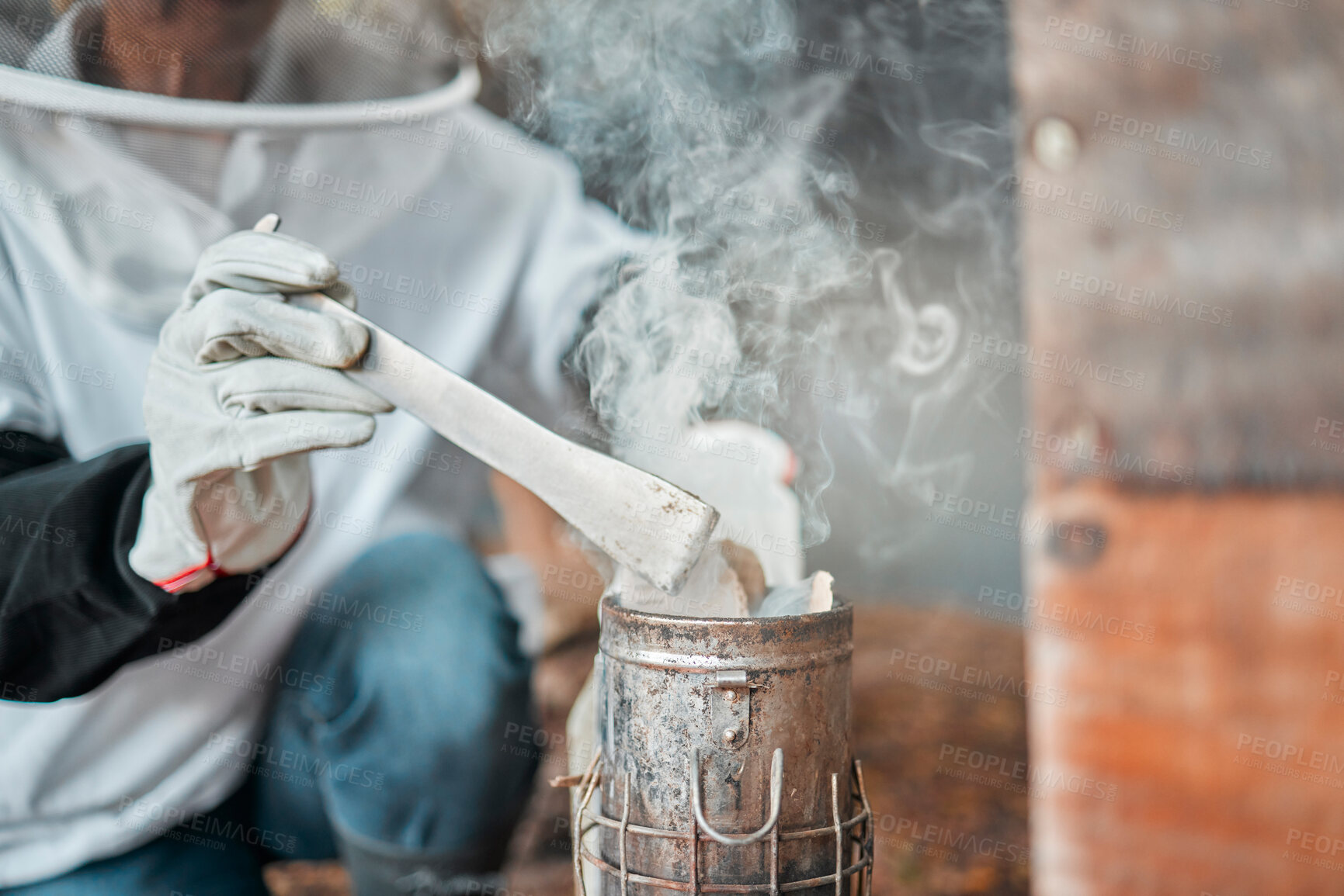 Buy stock photo Beekeeper, hands and smoker at bee farm for smoking bees. Beekeeping, safety and worker or employee in suit with equipment tool to calm and relax beehive, bugs or insects for farming or honey harvest