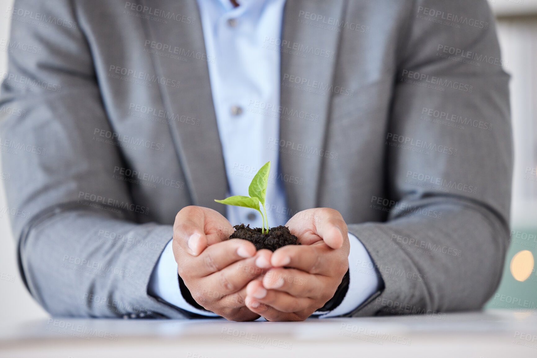 Buy stock photo Businessman, hands and plant growth for agriculture sustainability, startup development and green energy. Corporate enviroment, nature innovation and man with sustainable carbon footprint solidarity