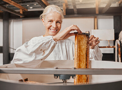 Buy stock photo Portrait, beekeeper and honey manufacturing, process and frame in agriculture factory, workshop and industry. Farmer employee, happy smile and farming production, manufacturing and honeycomb process 