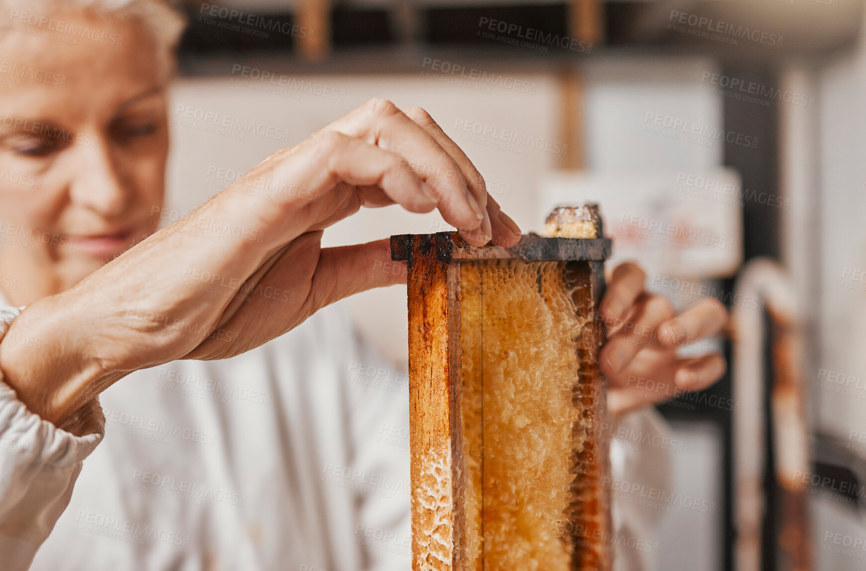 Buy stock photo Beekeeper, honey and frame with manufacturing, production and working in a factory, workshop and bee farm. Agriculture worker, process honeycomb and farming natural resource in warehouse with farmer