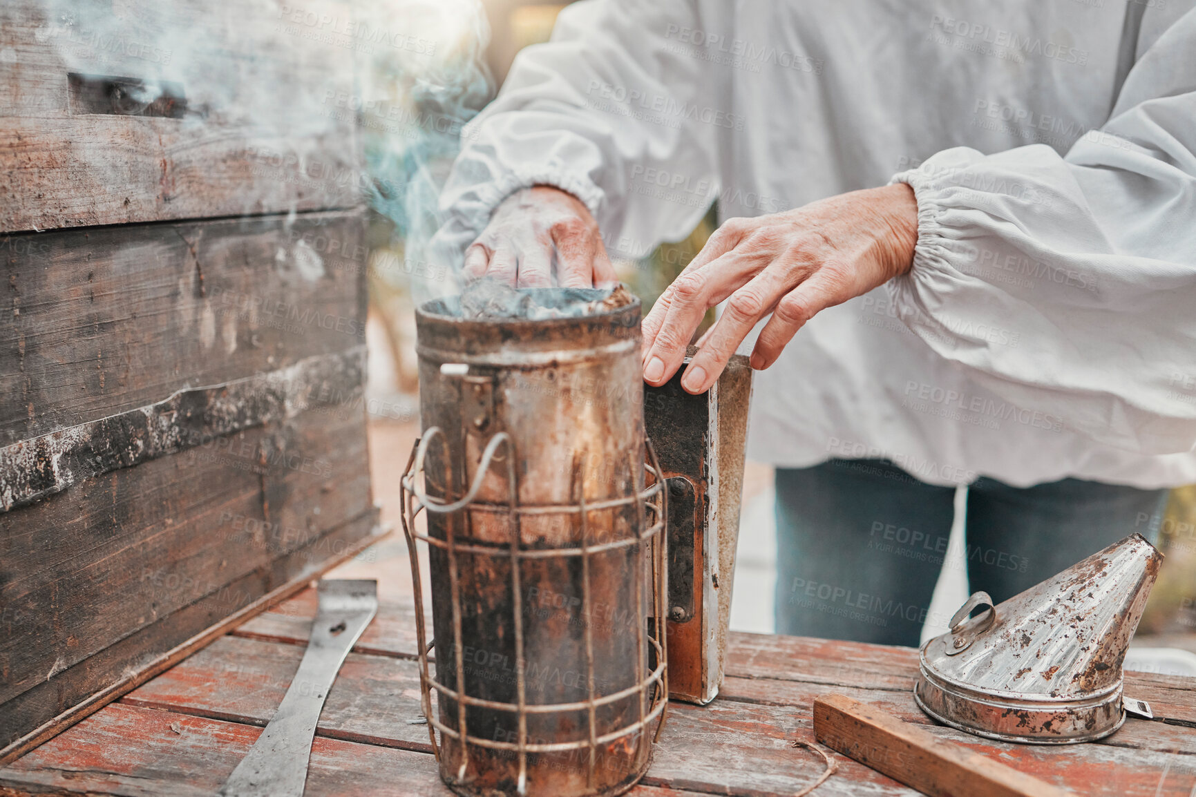 Buy stock photo Bee smoker, beekeeper and apiary working outdoor on farm for honey, beeswax and honeycomb industry and agriculture farming. Hands of woman for apiarist smoking process for organic production