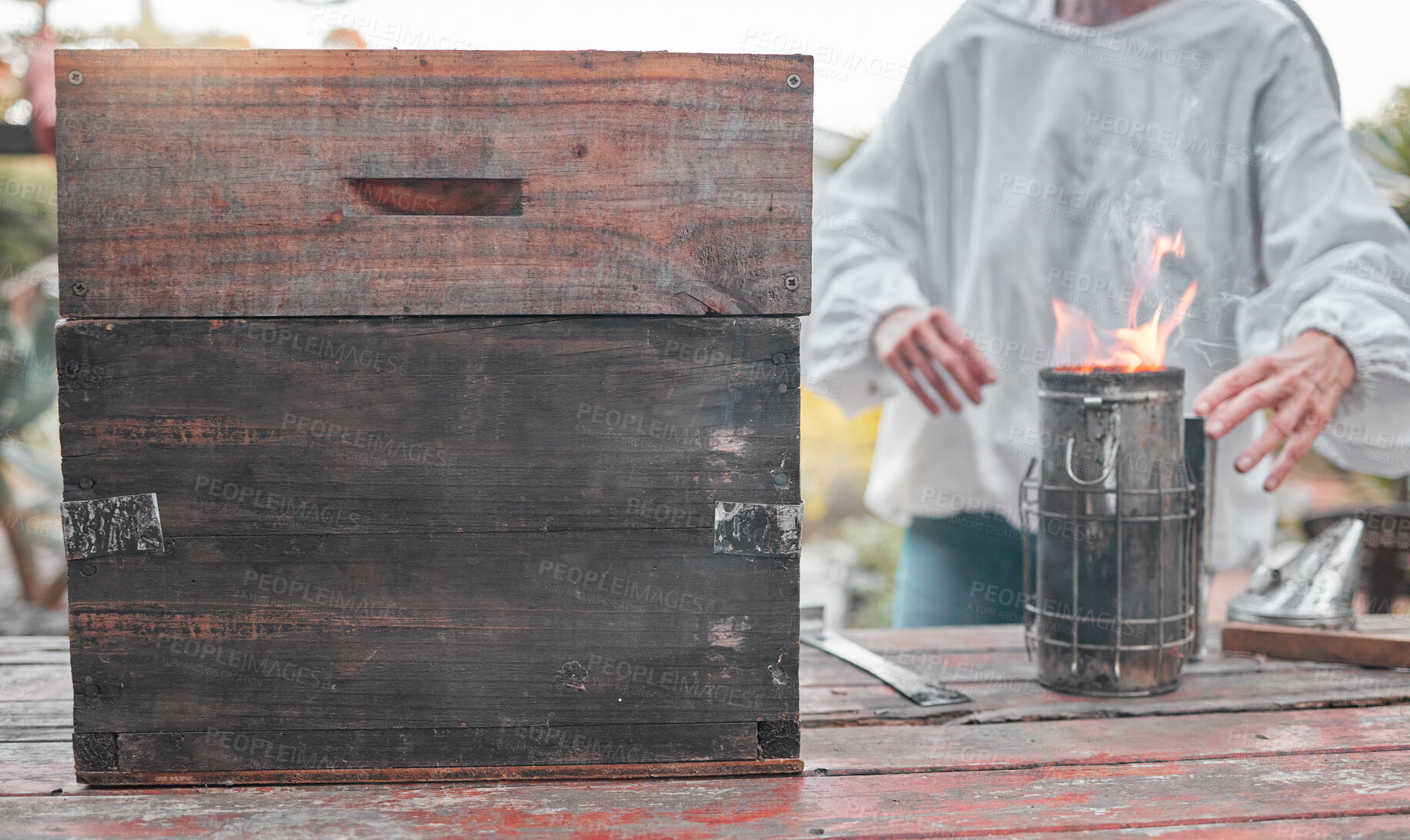 Buy stock photo Beekeeper, fire and production of honey for food, sustainability and small business on a farm. Agriculture, sustainable and business owner working on start of eco friendly honeycomb farming in nature